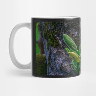 young jackfruit Mug